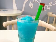 寒冻静翠-喵的天空名猫咖啡馆·撸猫·猫舍·用品