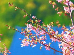 -福州大学(旗山校区)