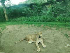 -北京野生动物园