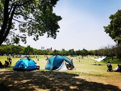 -上海吴淞炮台湾国家湿地公园