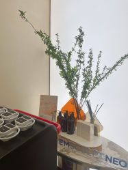 -Fundi张玉珊修身堂·indiba·BTL科技瘦身