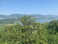 -雅达·阳羡溪山小镇中心