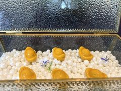 -百盛·鼎膳(中海财富中心)