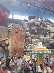 -卡通尼·Safari非洲探索乐园·生日会(金桥国际商业广场店)