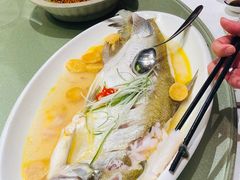 豆渣饼蒸大白鱼-好福记饭店(红梅公园店)