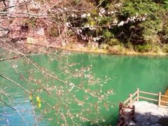 -溪口-滕头旅游景区