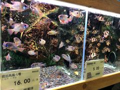-龟与熊猫宠物公园(南坪店)