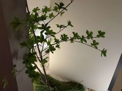 -漫·汤泉
