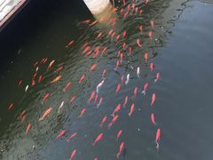 -威海华夏城景区