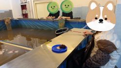 -巡鱼道·室内垂钓·渔具店