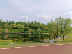 -白鹭湾湿地公园