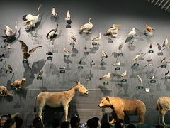 -中国湿地博物馆