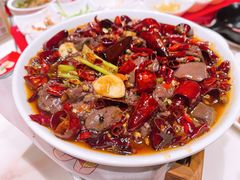 -丝恋丝娃娃(逸天城国贸店)