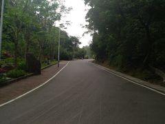 -火炉山森林公园