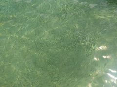 -东姑阿都拉曼海洋公园