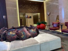 -南京禄口机场雅高铂尔曼大酒店