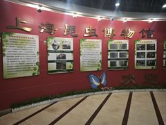 -上海昆虫博物馆