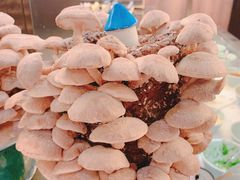 活体菌菇-捞王锅物料理(上海世茂广场店)