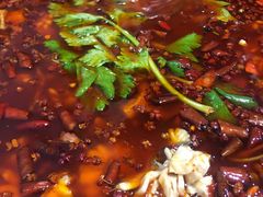 -重庆乌鱼庄·龙滋鲜(青羊大道店)