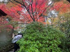 -三千院