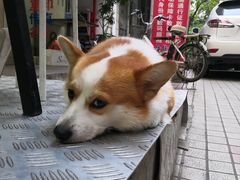 -小梁哥云吞面(黄贝岭店)