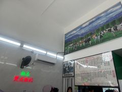 -义顺牛奶公司(新马路老店)