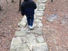 -南京市无想山景区