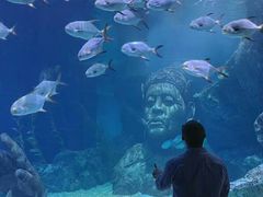 -暹罗海洋世界
