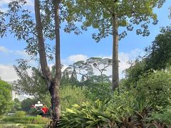 -荔枝公园(福田区)