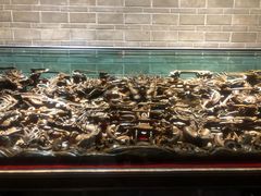 -乐山乌木文化博览苑