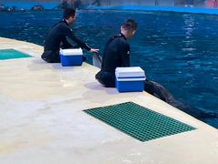 -福州罗源湾海洋世界旅游区