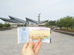 -盐城丹顶鹤湿地生态旅游区