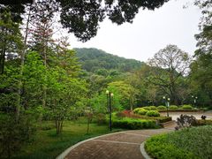 -云溪植物园