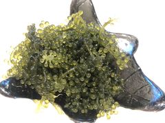 -万鱼亭·筑地屋 日本料理(淮海街店)