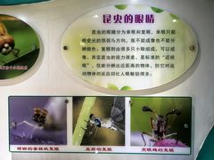 -上海昆虫博物馆
