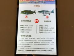 -全乐鱼馆·淳牌有机鱼直营店