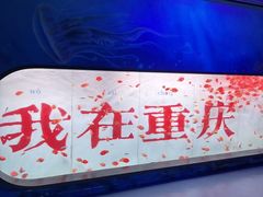 -重庆欢乐海底世界