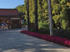 -星湖旅游景区七星岩