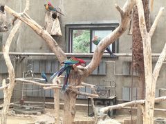 -大连森林动物园