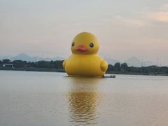 -深圳人才公园