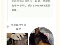 -瑞派申生动物医院·24H夜诊·国际动物医疗中心·骨外科(吴中路店)