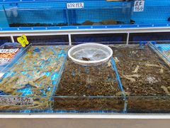 水产区-鑫福隆生鲜超市(沈营大街店)