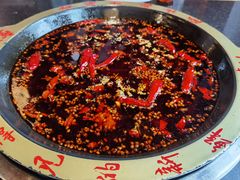 -一斗火锅·招财羊毛肚(北温泉九号店)