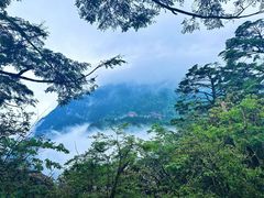 -峨眉山风景名胜区