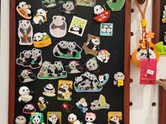 -轩客会(熊猫书店)