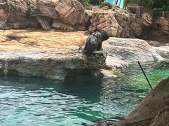 -珠海长隆海洋王国