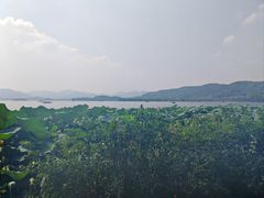 -湖畔居茶楼(湖滨店)