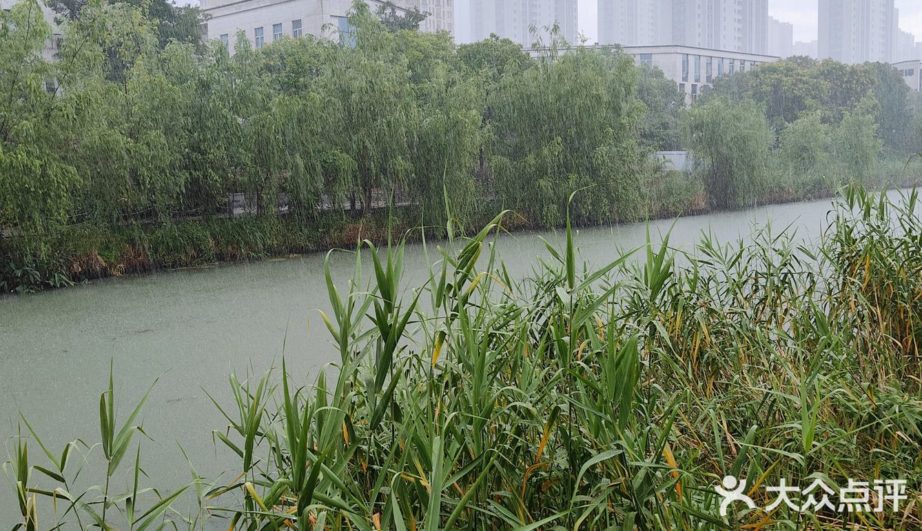 杭州大暴雨！！！连河道都要满出来了！