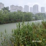 杭州大暴雨！！！连河道都要满出来了！