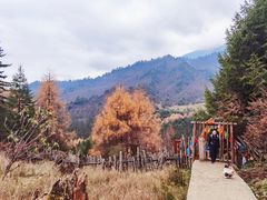-硗碛藏寨·神木垒景区